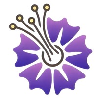 WhatsApp Image 2025-06-02 at 03.46.59_6b2a2397